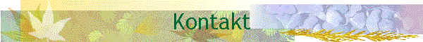 Kontakt